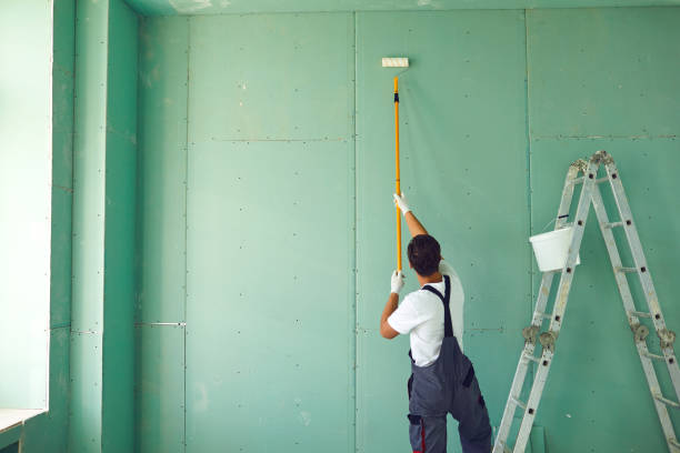 Best Mold Remediation for Rental Properties  in Lodi, OH