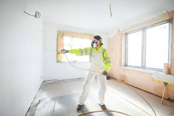 Best Mold Damage Restoration  in Lodi, OH