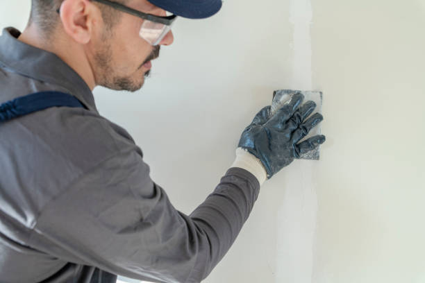 Best Biohazard Mold Removal  in Lodi, OH