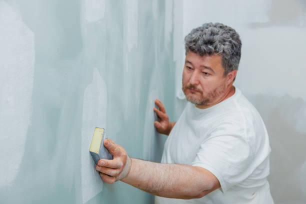 Best Mold Documentation for Insurance Claims  in Lodi, OH