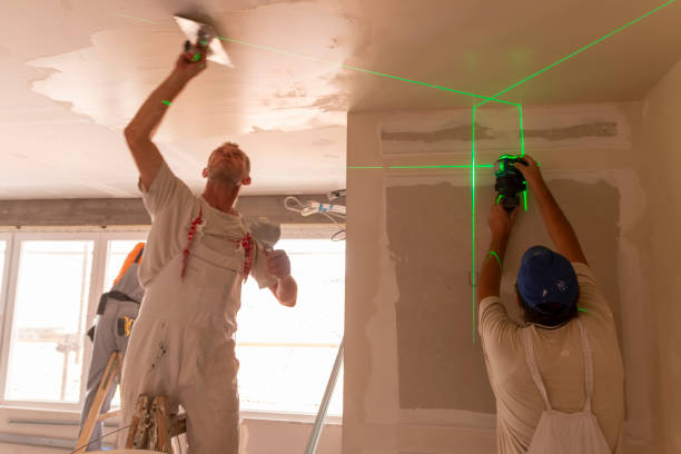 Best Emergency Mold Remediation  in Lodi, OH