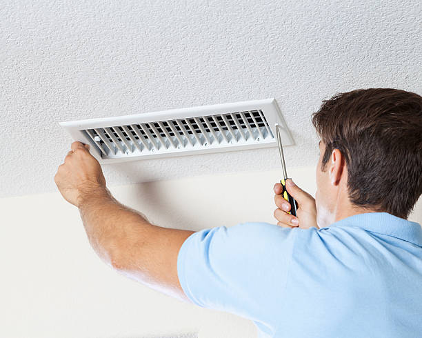 Best Mold-Related Health Consultation  in Lodi, OH