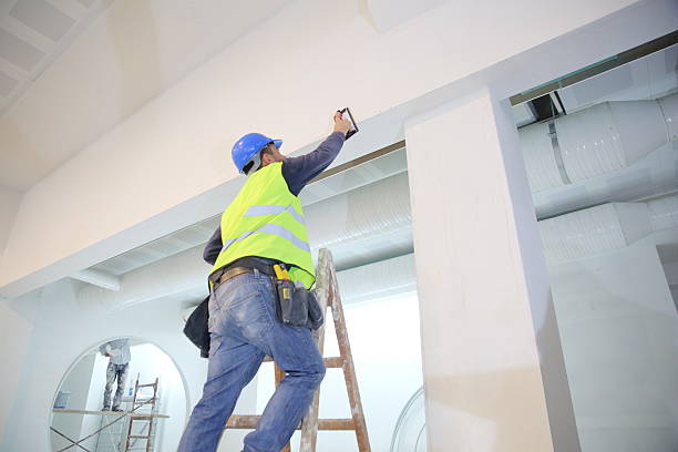  Lodi, OH Mold Removal Pros
