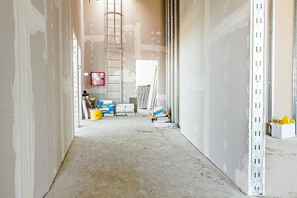 Best Air Quality Testing for Mold Spores  in Lodi, OH